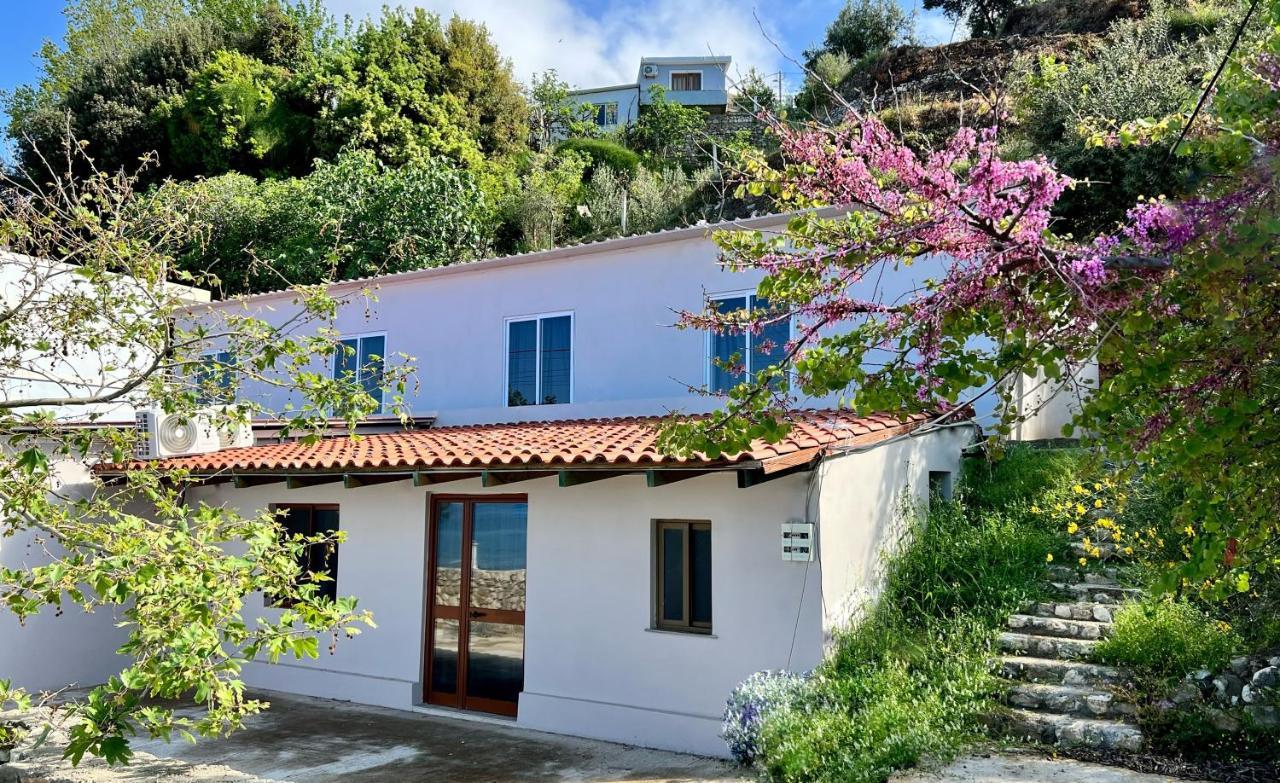 Residence Villa Denny&Villa Kate Borsh Exterior photo